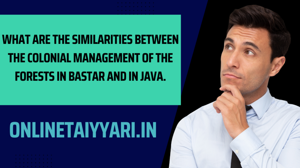What are the similarities between the colonial management of the forests in Bastar and in Java.